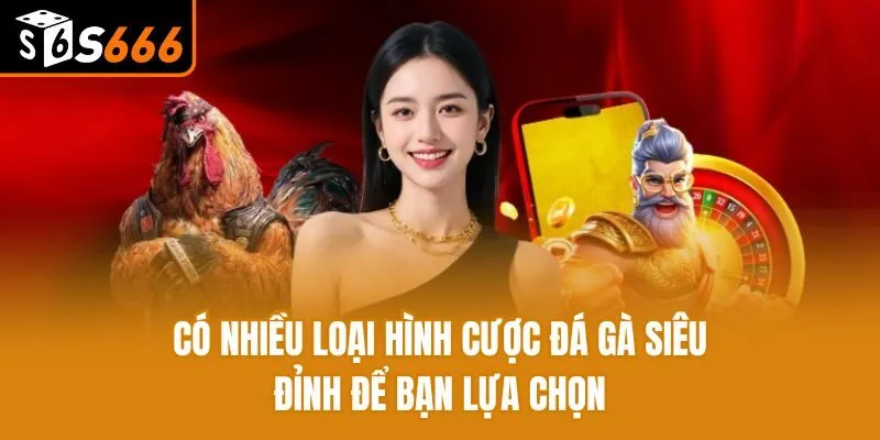 Có nhiều loại hình cược đá gà siêu đỉnh để bạn lựa chọn
