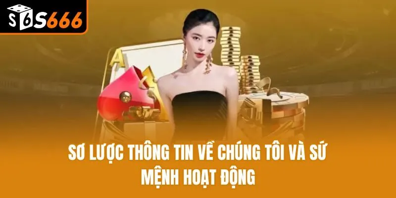 Sơ lược thông tin về chúng tôi và sứ mệnh hoạt động